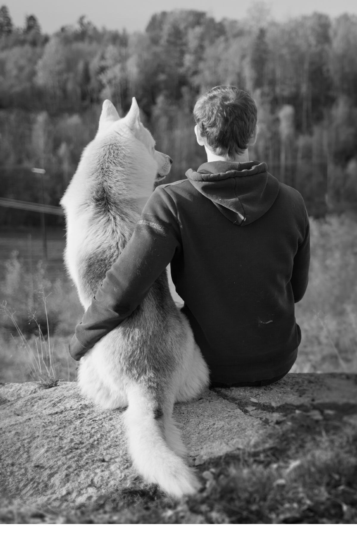 Hundägare och hund sitter sida vid sida och blickar ut över landskapet